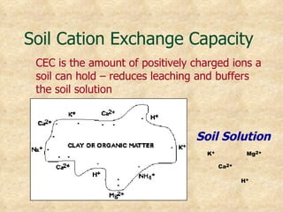 Soil Cation Exchange Capacity
 CEC is the amount of positively charged ions a
 soil can hold – reduces leaching and buffers
 the soil solution



                                 Soil Solution
                                   K+           Mg2+

                                        Ca2+

                                               H+
 