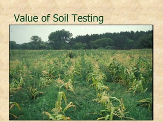 Value of Soil Testing
 