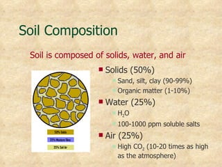 Soil Composition
 Soil is composed of solids, water, and air
                      Solids (50%)
                         Sand, silt, clay (90-99%)
                         Organic matter (1-10%)

                      Water (25%)
                           H 2O
                           100-1000 ppm soluble salts
                      Air (25%)
                           High CO2 (10-20 times as high
                            as the atmosphere)
 