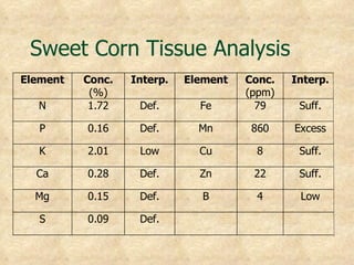 Sweet Corn Tissue Analysis
Element   Conc.   Interp.   Element   Conc.   Interp.
           (%)                        (ppm)
  N        1.72    Def.       Fe        79     Suff.

   P      0.16     Def.       Mn       860    Excess

  K       2.01     Low        Cu        8      Suff.

  Ca      0.28     Def.       Zn       22      Suff.

  Mg      0.15     Def.       B         4      Low

   S      0.09     Def.
 
