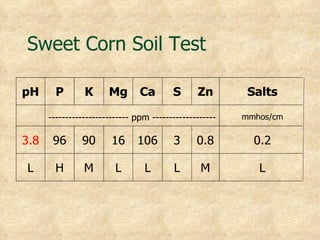 Sweet Corn Soil Test

pH      P       K      Mg       Ca       S      Zn        Salts

      ------------------------ ppm -------------------   mmhos/cm


3.8    96      90       16     106       3      0.8        0.2

L       H       M        L       L       L       M          L
 