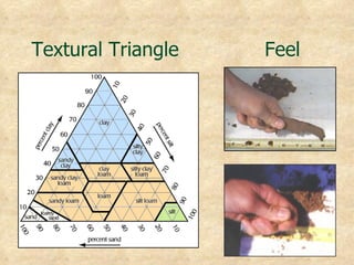 Textural Triangle   Feel
 