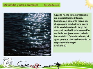 Aquella noche la fosforescencia
era especialmente intensa.
Bastaba con pasear la mano por
el agua para producir una ancha
cinta verdidorada a lo largo del
mar, y al zambullirse la sensación
era la de arrojarse en un helado
horno de luz. Cuando salimos, el
agua que nos chorreaba emitía un
resplandor de fuego.
Capítulo 10
 
