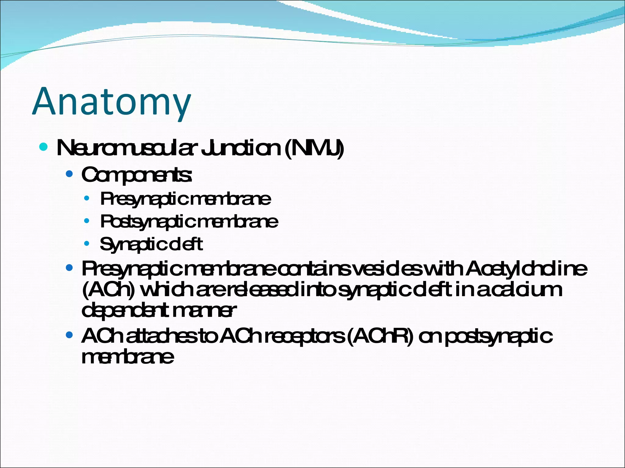 Anatomy  Neuromuscular Junction (NMJ) Components: Presynaptic membrane Postsynaptic membrane  Synaptic cleft  Presynaptic membrane contains vesicles with Acetylcholine (ACh) which are released into synaptic cleft in a calcium dependent manner ACh attaches to ACh receptors (AChR) on postsynaptic membrane 