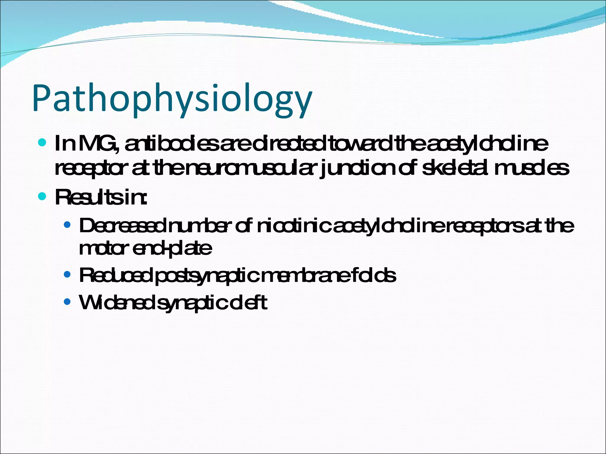 Pathophysiology In MG, antibodies are directed toward the acetylcholine receptor at the neuromuscular junction of skeletal muscles Results in: Decreased number of nicotinic acetylcholine receptors at the motor end-plate Reduced postsynaptic membrane folds Widened synaptic cleft  