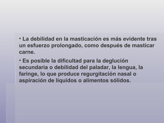 La debilidad en la masticación es más evidente tras un esfuerzo prolongado, como después de masticar carne. Es posible la dificultad para la deglución secundaria o debilidad del paladar, la lengua, la faringe, lo que produce regurgitación nasal o aspiración de líquidos o alimentos sólidos. 