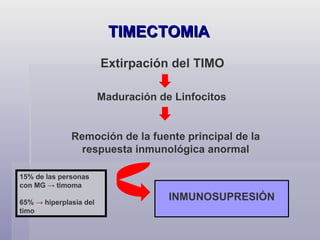Extirpación del TIMO TIMECTOMIA Maduración de Linfocitos Remoción de la fuente principal de la respuesta inmunológica anormal 15% de las personas con MG  ->  timoma 65%  ->   hiperplasia del  timo INMUNOSUPRESIÓN 