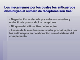 Degradación acelerada por enlaces cruzados y endocitosis precoz de los receptores.  Bloqueo del sitio activo del receptor.  Lesión de la membrana muscular post-sináptica por los anticuerpos en colaboración con el sistema del complemento.  Los mecanismos por los cuales los anticuerpos disminuyen el número de receptores son tres: 
