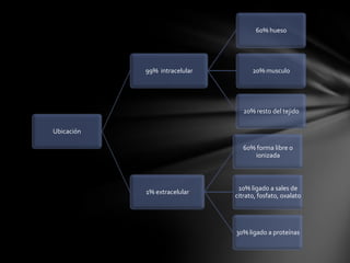 60% hueso




            99% intracelular         20% musculo




                                  20% resto del tejido

Ubicación

                                  60% forma libre o
                                     ionizada



                                10% ligado a sales de
            1% extracelular
                               citrato, fosfato, oxalato




                               30% ligado a proteínas
 