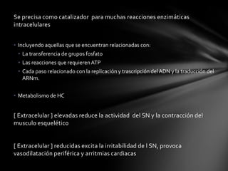 Se precisa como catalizador para muchas reacciones enzimáticas
intracelulares


• Incluyendo aquellas que se encuentran relacionadas con:
 • La transferencia de grupos fosfato
 • Las reacciones que requieren ATP
 • Cada paso relacionado con la replicación y trascripción del ADN y la traducción del
   ARNm.


• Metabolismo de HC


[ Extracelular ] elevadas reduce la actividad del SN y la contracción del
musculo esquelético


[ Extracelular ] reducidas excita la irritabilidad de l SN, provoca
vasodilatación periférica y arritmias cardiacas
 