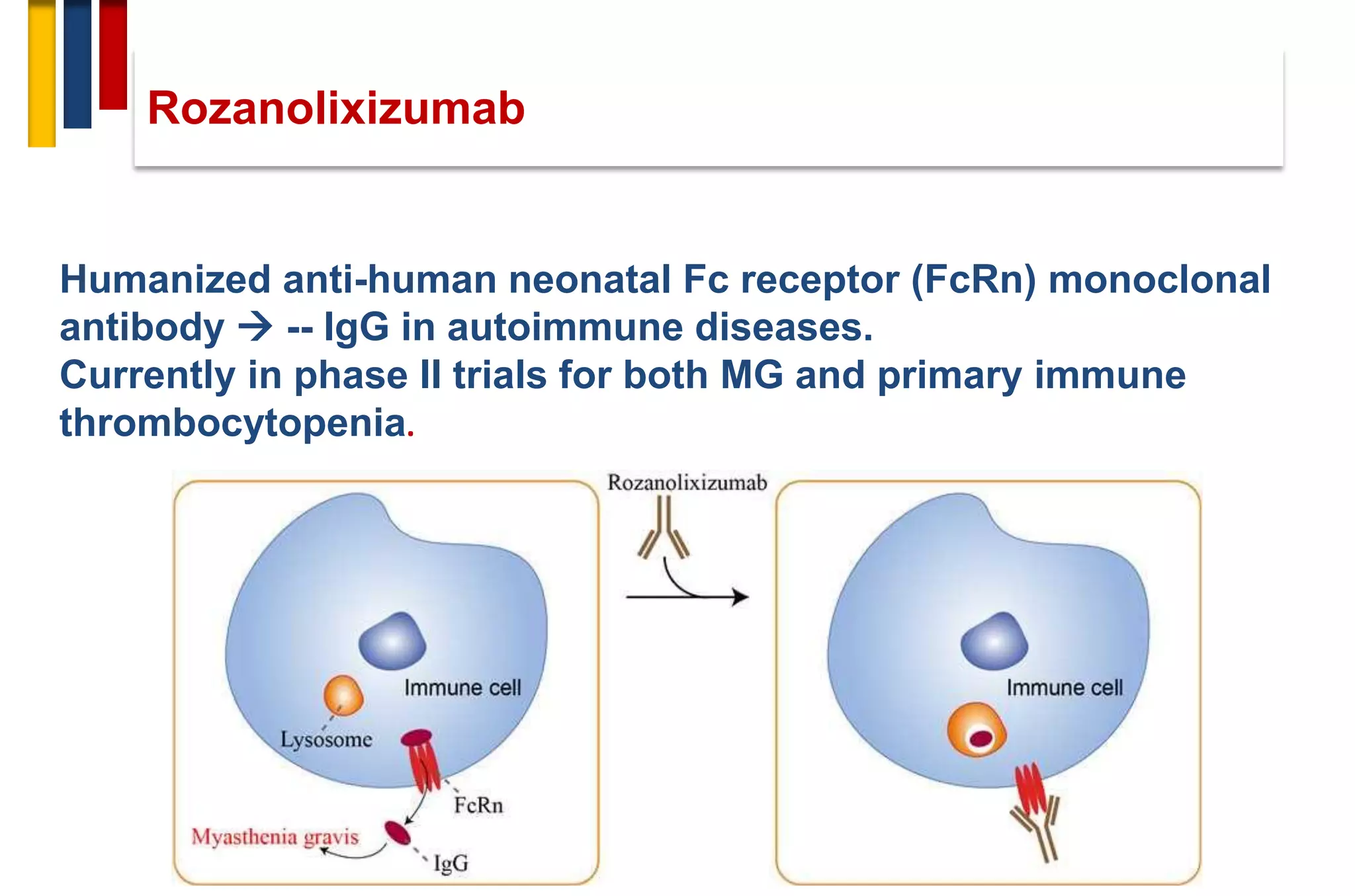 Rozanolixizumab
Humanized anti-human neonatal Fc receptor (FcRn) monoclonal
antibody → -- IgG in autoimmune diseases.
Currently in phase II trials for both MG and primary immune
thrombocytopenia.
 