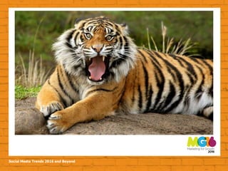 Social Media Trends 2016 and Beyond
 