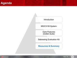© 2014 www.pantechsolutions.net All Rights Reserved. Slide 28
Agenda
Introduction
MGC3130 System
Core Features
(Colibri Suite)
Sabrewing Evaluation Kit
Resources & Summary
 
