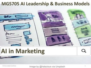 MG5705 AI Leadership & Business Models
1
© Ana Isabel Canhoto
AI in Marketing
Image by @halacious via Unsplash
 