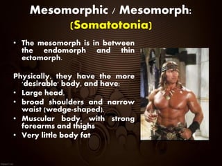 Mesomorphic / Mesomorph:
(Somatotonia)
• The mesomorph is in between
the endomorph and thin
ectomorph.
Physically, they have the more
'desirable' body, and have:
• Large head,
• broad shoulders and narrow
waist (wedge-shaped).
• Muscular body, with strong
forearms and thighs
• Very little body fat
 