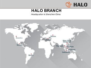 HALO BRANCH
Headquarter in Shenzhen China
 