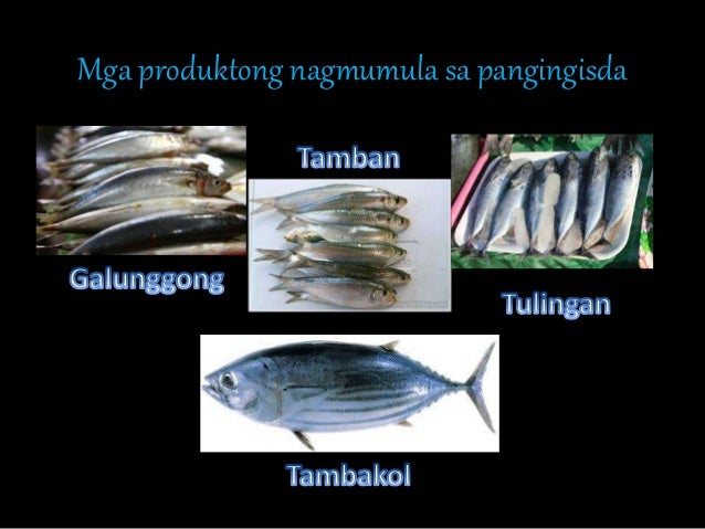 Mga gawaing pangkabuhayan sa pilipinas