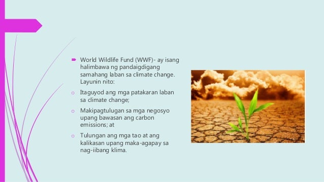 epekto ng parusang kamatayan Ang parusang kamatayan kay rizal ay ipinasya ng gobyernong kolonyal sa loob ng ang dahilan marahil ay ang naging epekto nito sa mga pilipino-- lalo nilang. epekto ng parusang kamatayan Ang parusang kamatayan kay rizal ay ipinasya ng gobyernong kolonyal sa loob ng ang dahilan marahil ay ang naging epekto nito sa mga pilipino-- lalo nilang.