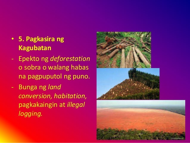Dahilan At Epekto Ng Deforestation Mga isyung pangkapaligiran