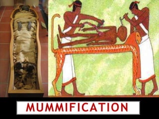 MUMMIFICATION
 