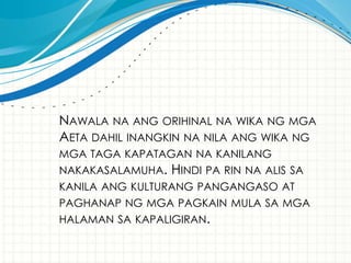 NAWALA NA ANG ORIHINAL NA WIKA NG MGA
AETA DAHIL INANGKIN NA NILA ANG WIKA NG
MGA TAGA KAPATAGAN NA KANILANG
NAKAKASALAMUHA. HINDI PA RIN NA ALIS SA
KANILA ANG KULTURANG PANGANGASO AT
PAGHANAP NG MGA PAGKAIN MULA SA MGA
HALAMAN SA KAPALIGIRAN.
 
