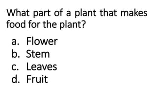 What part of a plant that makes
food for the plant?
a. Flower
b. Stem
c. Leaves
d. Fruit
 