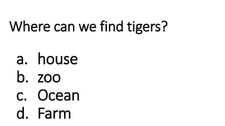 Where can we find tigers?
a. house
b. zoo
c. Ocean
d. Farm
 