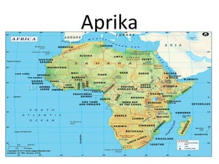 Aprika
 