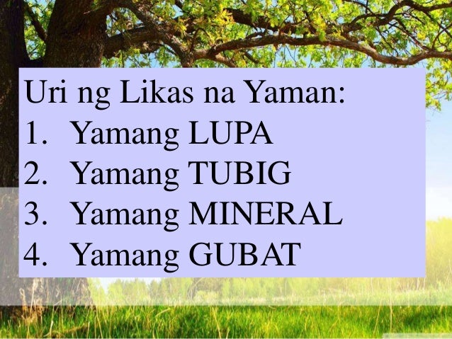 5 Halimbawa Ng Likas Na Yaman Sa Pilipinas - nabahala