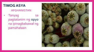 TIMOG ASYA
AFGHANISTAN
• Tanyag sa
pagtatanim ng opyo
na ipinagbabawal ng
pamahalaan
 