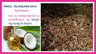 TIMOG - SILANGANG ASYA
PILIPINAS
• Isa sa nangunguna sa
produksyon ng langis
ng niyog at kopra.
 