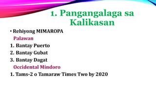 1. Pangangalaga sa
Kalikasan
• Rehiyong MIMAROPA
Palawan
1. Bantay Puerto
2. Bantay Gubat
3. Bantay Dagat
Occidental Mindoro
1. Tams-2 o Tamaraw Times Two by 2020
 