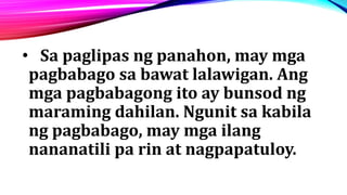 • Sa paglipas ng panahon, may mga
pagbabago sa bawat lalawigan. Ang
mga pagbabagong ito ay bunsod ng
maraming dahilan. Ngunit sa kabila
ng pagbabago, may mga ilang
nananatili pa rin at nagpapatuloy.
 