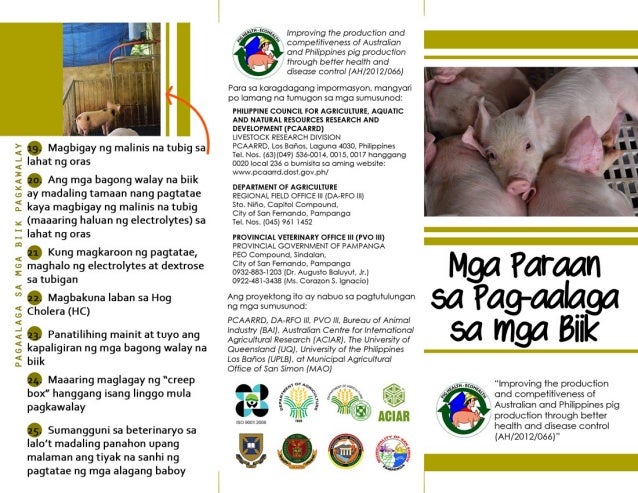 Paraan Ng Pag Aalaga Ng Halaman Mga paraan sa pag aalaga sa mga biik