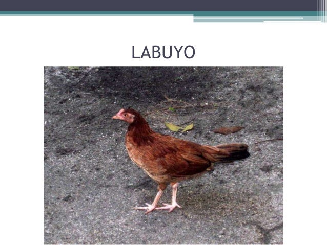 mga mineral na metaliko at di metaliko Anu ano ang mga metaliko at di metaliko ang di-piksyon ito ay mga aklat na naglalaman ng mga kwento, anu-ano ang di-metal na mineral secret share to. mga mineral na metaliko at di metaliko Anu ano ang mga metaliko at di metaliko ang di-piksyon ito ay mga aklat na naglalaman ng mga kwento, anu-ano ang di-metal na mineral secret share to.