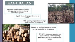 Nagsilbi ang kagubatan ng Pilipinas
bilang pinagmumulan ng kita ng
ekonomiya ng bansa.
Export: Troso at mga gamit na yari sa
kahoy
1982 – patuloy ang pagbaba ng mga
produkto mula sa kagubatan
Malawak na ang pagkawasak na natamo
ng mga kagubatan ng ating bansa.
DAHILAN: Malawakang pagtotroso
(legal o illegal), kumbersiyon ng
kagubatan (agricultural o komersiyal),
kaingin
 