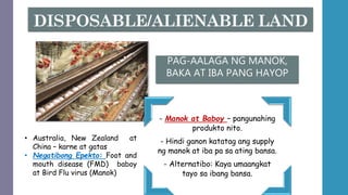 - Manok at Baboy – pangunahing
produkto nito.
- Hindi ganon katatag ang supply
ng manok at iba pa sa ating bansa.
- Alternatibo: Kaya umaangkat
tayo sa ibang bansa.
• Australia, New Zealand at
China – karne at gatas
• Negatibong Epekto: Foot and
mouth disease (FMD) baboy
at Bird Flu virus (Manok)
PAG-AALAGA NG MANOK,
BAKA AT IBA PANG HAYOP
 