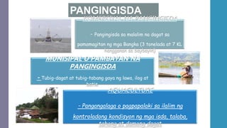 PANGINGISDA
KOMERSIYAL NA PANGINGISDA
- Pangingisda sa malalim na dagat sa
pamamagitan ng mga Bangka (3 tonelada at 7 KL
hangganan sa baybayin)
MUNISIPAL O PAMBAYAN NA
PANGINGISDA
- Tubig-dagat at tubig-tabang gaya ng lawa, ilog at
batis.
AQUACULTURE
- Pangangalaga o pagpapalaki sa ilalim ng
kontroladong kondisyon ng mga isda, talaba,
tahong at damong dagat
 