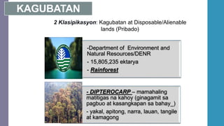 KAGUBATAN
-Department of Environment and
Natural Resources/DENR
- 15,805,235 ektarya
- Rainforest
- DIPTEROCARP – mamahaling
matitigas na kahoy (ginagamit sa
pagbuo at kasangkapan sa bahay_)
- yakal, apitong, narra, lauan, tangile
at kamagong
2 Klasipikasyon: Kagubatan at Disposable/Alienable
lands (Pribado)
 