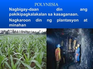 POLYNESIA
Nagbigay-daan          din        ang
pakikipagkalakalan sa kasaganaan.
Nagkaroon din ng plantasyon at
minahan
 