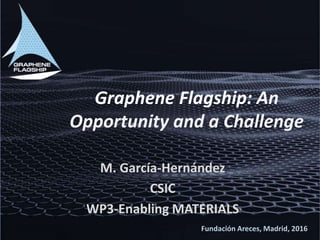 Graphene Flagship: An
Opportunity and a Challenge
Fundación Areces, Madrid, 2016
M. García-Hernández
CSIC
WP3-Enabling MATERIALS
 