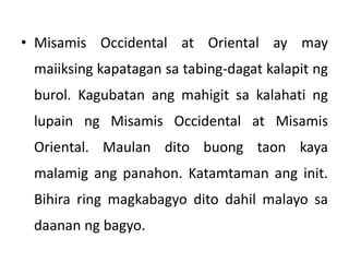 • Misamis Occidental at Oriental ay may
maiiksing kapatagan sa tabing-dagat kalapit ng
burol. Kagubatan ang mahigit sa kalahati ng
lupain ng Misamis Occidental at Misamis
Oriental. Maulan dito buong taon kaya
malamig ang panahon. Katamtaman ang init.
Bihira ring magkabagyo dito dahil malayo sa
daanan ng bagyo.
 