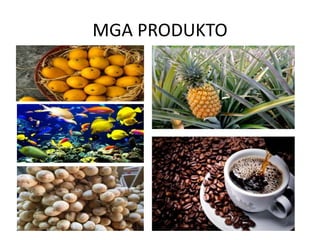 MGA PRODUKTO
 