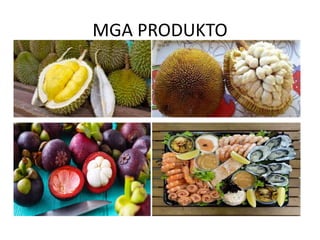 MGA PRODUKTO
 