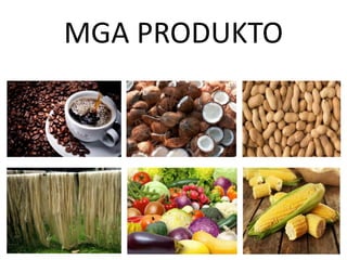 MGA PRODUKTO
 