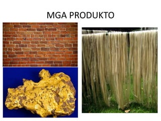 MGA PRODUKTO
 