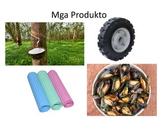 Mga Produkto
 
