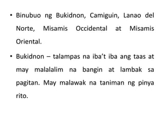 • Binubuo ng Bukidnon, Camiguin, Lanao del
Norte, Misamis Occidental at Misamis
Oriental.
• Bukidnon – talampas na iba’t iba ang taas at
may malalalim na bangin at lambak sa
pagitan. May malawak na taniman ng pinya
rito.
 