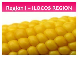 Region I – ILOCOS REGION
 