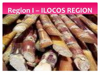 Region I – ILOCOS REGION
 